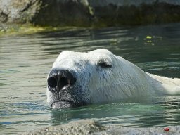 Tiergarten Schönbrunn am 23.03.2023